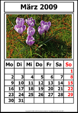 3-Kalender-N-09-März.jpg